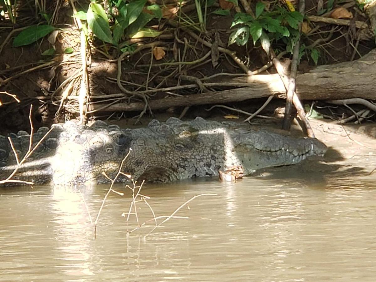 Hotel Casa Thirema Tortuguero Esterno foto
